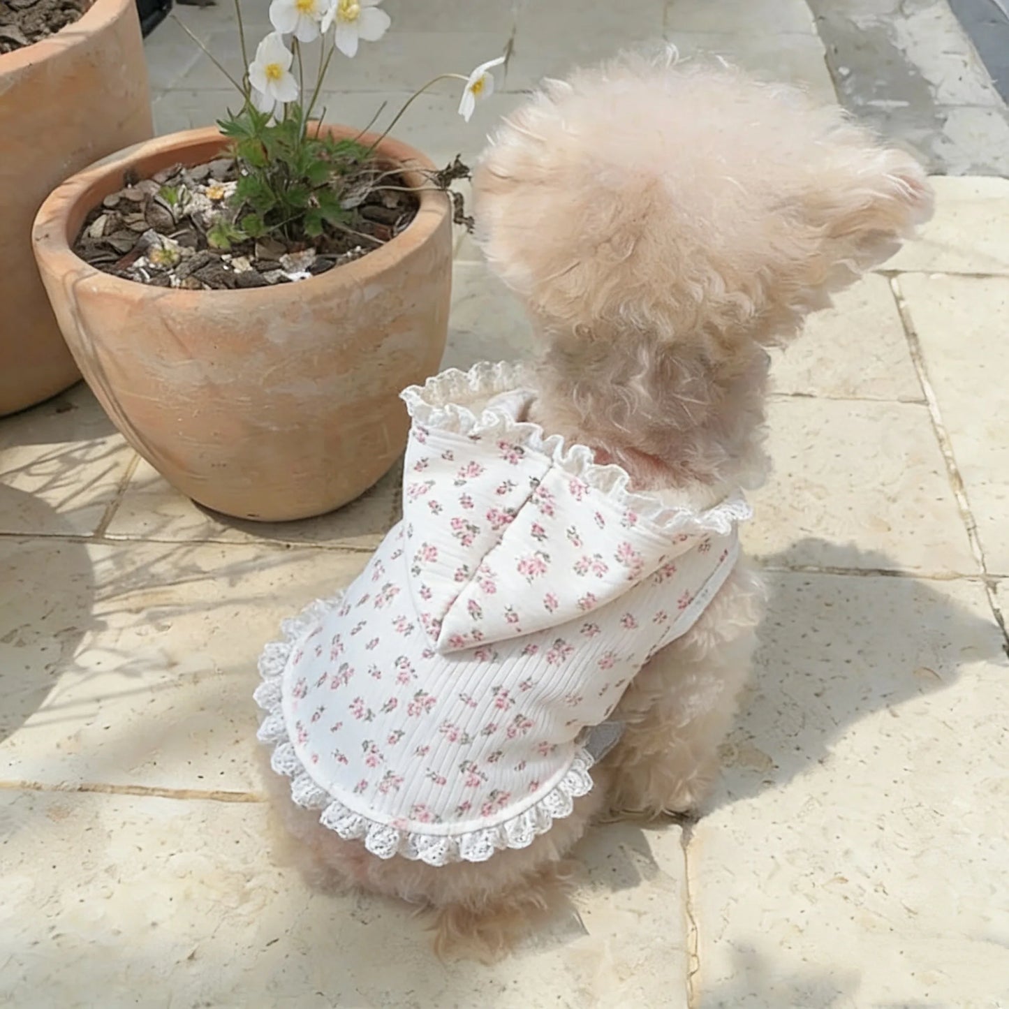 Breathable Pet Clothing Creative Teddy Hooded Floral Skirt Dog Summer Beautiful Clothes Puppy Short Skirt