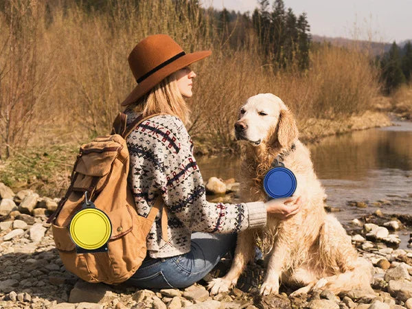 Portable Foldable 2-in-1 Dual Bowl for Dogs & Cats – Travel Food & Water Bowl, Outdoor Pet Must-Have