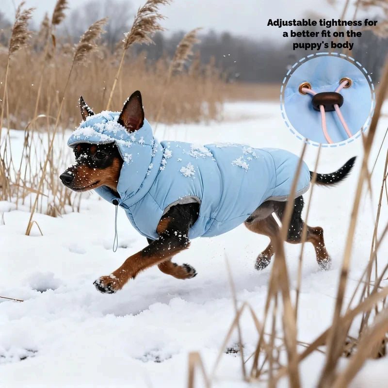 Dog Pet Clothing Dog Down Jacket & Cotton Coat Warm & Comfortable Suitable for Small to Medium Dogs