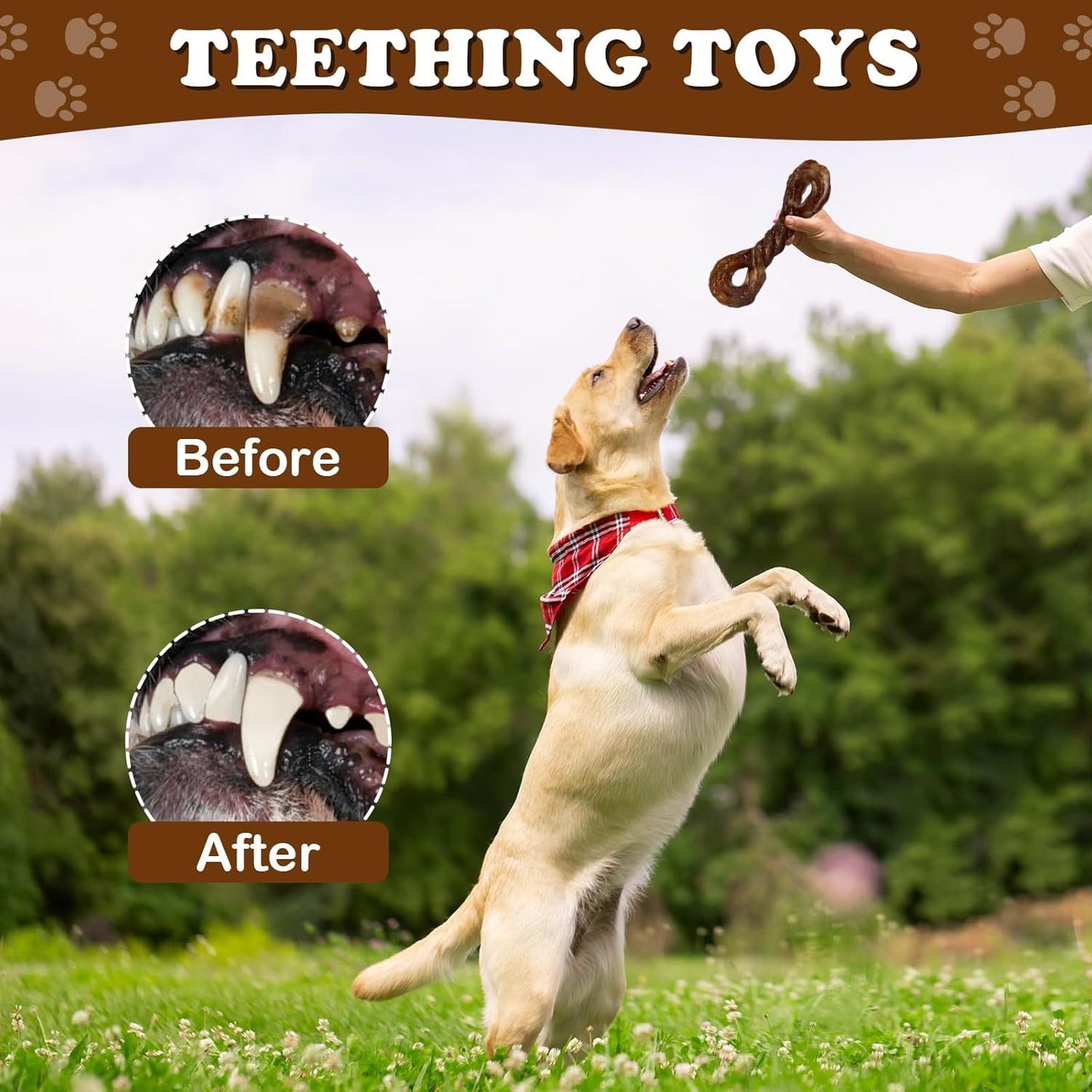 Pet Toys 2 Pack Durable and Sturdy Dog Toys, Aggressive Chewing Dog Chew Toys for Large Dogs Who Love to Chew, Indestruc