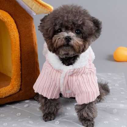 Niedlicher Haustier-Hoodie mit Hasenohren – Hält Hund und Katze warm und sieht dabei stylisch aus!