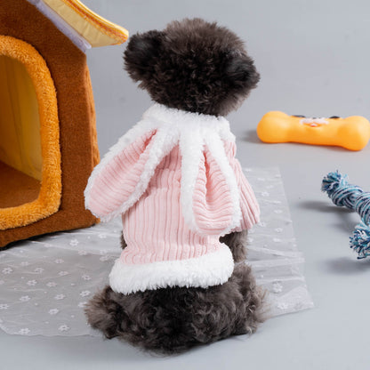 Niedlicher Haustier-Hoodie mit Hasenohren – Hält Hund und Katze warm und sieht dabei stylisch aus!