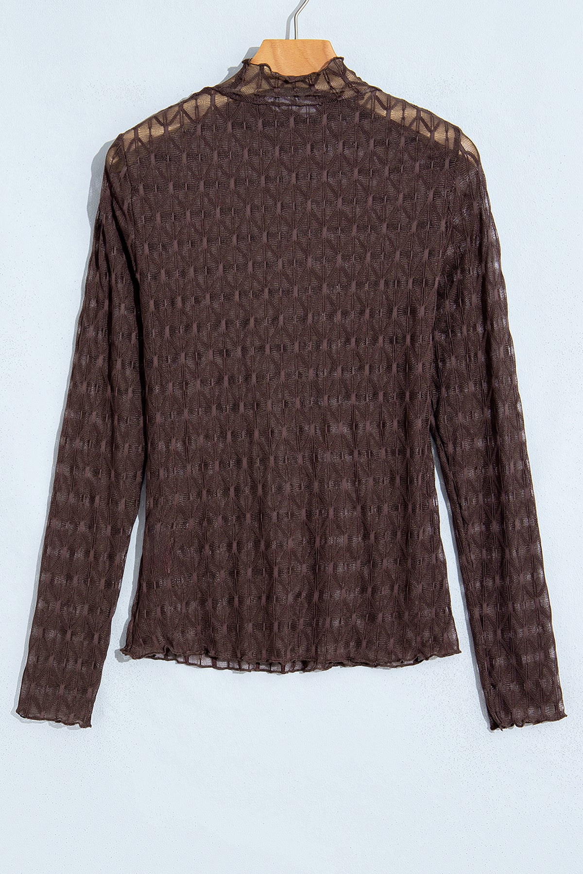 Chicory Coffee Sheer Textured Lace Stand Neck Long Sleeve Top