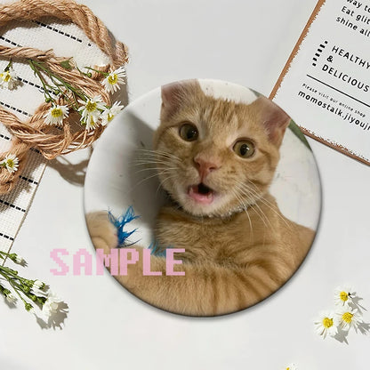 Cute Cats Meme Button Pins Funny Creative Animal Brooches Round Exquisite Tinplate Badge for Backpack Jewelry Accessories Gifts