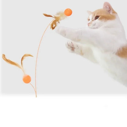 Funny Cat Elastic Ball Toy Interactive Balls Pet Supplies Feather Football Toys Dog Playthings Kitten