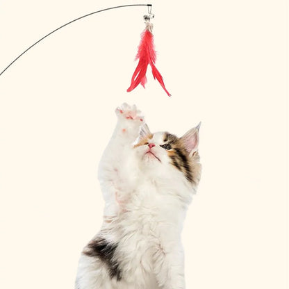 Cat Toy Cat Toys Interactive with Sucker Feather Toys for Cats Tease Sucker Stainless Steel Wire Cats Toy with Bell Pet Products