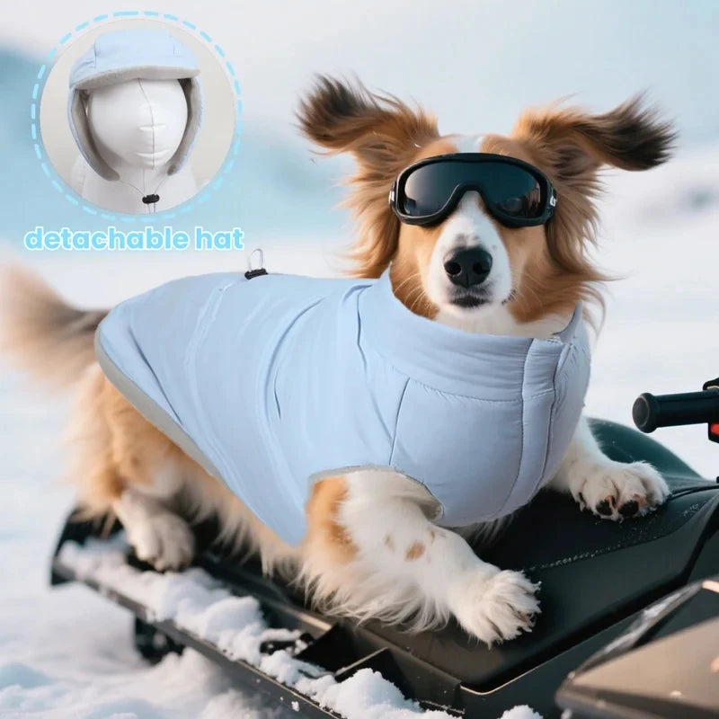 Dog Pet Clothing Dog Down Jacket & Cotton Coat Warm & Comfortable Suitable for Small to Medium Dogs