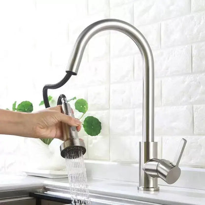 Spare Replacement Kitchen Mixer Tap Faucet Pull Out Spray Shower Head Setting