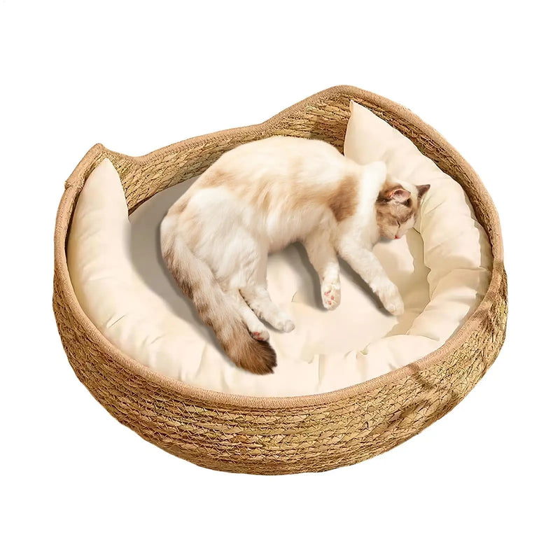 Cat Bed Cat Woven Nest Bed with Soft Cushion and Pillow All Season Weaving Pet Sleeping Resting Scratching Furniture for Puppy