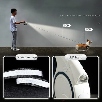 5m LED Light with Retractable Automatic Stretch Nylon Leash for Walking Dogs, Pet Supplies, Beautiful and Fashionable, Colorful