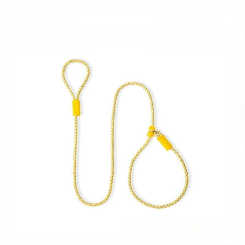 Pet Dog Training Round Rope Light Weight Nylon P Chain Collar Adjustable for Small Medium Dogs Walking Leash Pet Supplies