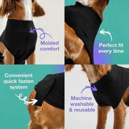 Adjustable Pet Physiological Clothing Soft Stretchy Dog Recovery Suit Sweat Absorption Reusable Dog Sanitary Jumpsuits