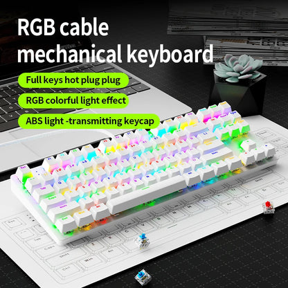 Gaming Mechanical Keyboard  AK87 Hot Swappable RGB Backlit, USB Wired Full Size Anti-Ghosting Keyboard with Red/Blue Switch for