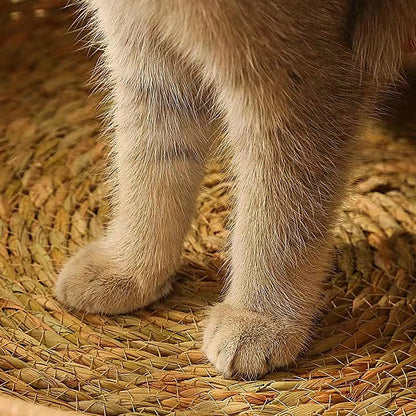Cat Bed Basket Cushion Hand Craft Woven And Pillow mat All Season Weaving Pet Sleeping Rest Scratching Furniture For Puppy Cat