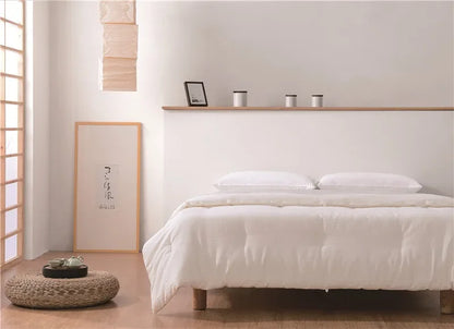 Japan Meiji Nishikawa Comforter Duvet Insert - Quilted White Comforters Queen Size All Season Down Bedding Comforter with Corner