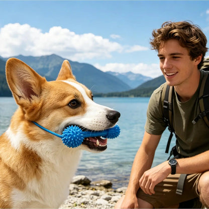 Dog Teething Toys Chewer Sticks Mouth Opener Pet Supplies Dog Chewing Toy for Pet Puppy Small Medium Large Breeds Home Travel