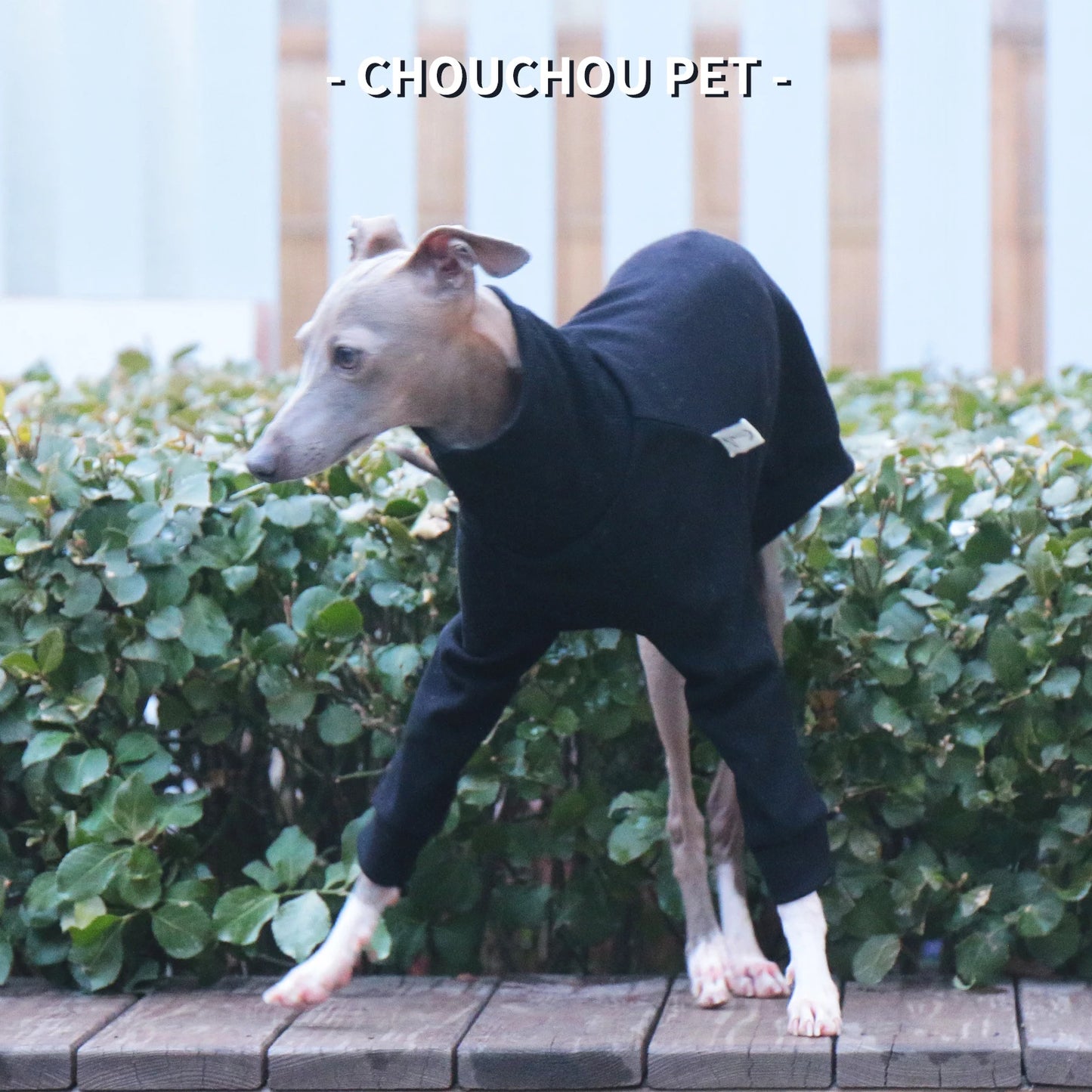 Italian Greyhound/Whippet Slim Fit Dog Clothing Turtleneck Stretch Pet Bottoming Shirt Black Premium Pet Clothing