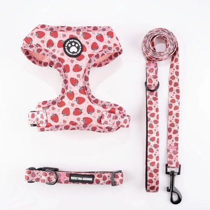 Things Breast-band Supplies Kittens Harness for Cats Collar, Harness, Leash Accessories Pets Goods Kitten Pet Products