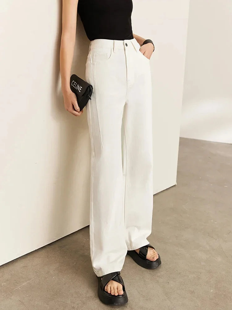 Amii Minimalism Women Jeans 2025 Autumn Vintage Denim Pants Loose Wide Leg Pants Woman Casual Pants Female Trousers 12270097