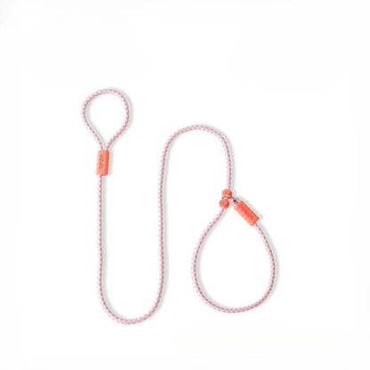 Pet Dog Training Round Rope Light Weight Nylon P Chain Collar Adjustable for Small Medium Dogs Walking Leash Pet Supplies
