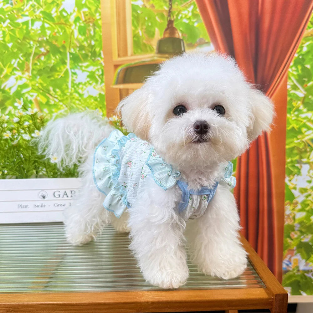 Soft Pet Clothes Thin Small Dog Cool Dress Cute Soft Cat Cooler Clothes Breathable Skin-friendly Summer Puppy Skirt Clothes