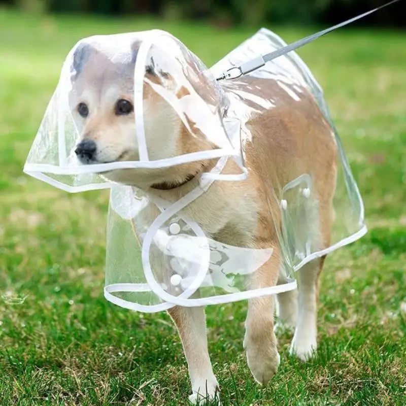 Pet Raincoat Transparent Dog Raincoat Waterproof And Windproof Pet Clothing Large Dog Pet Dog Dog Costume
