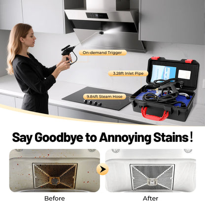 3000W Portable steam cleaner Wet & Dry 3-5bar High Pressure Steam Cleaner Air Conditioner Kitchen Hood Car Cleaning Machine