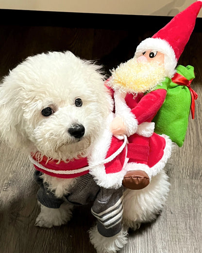 New Santa Claus Riding Suit Pet Christmas Dog and Cat Clothing Dog Clothes for Small Dogs