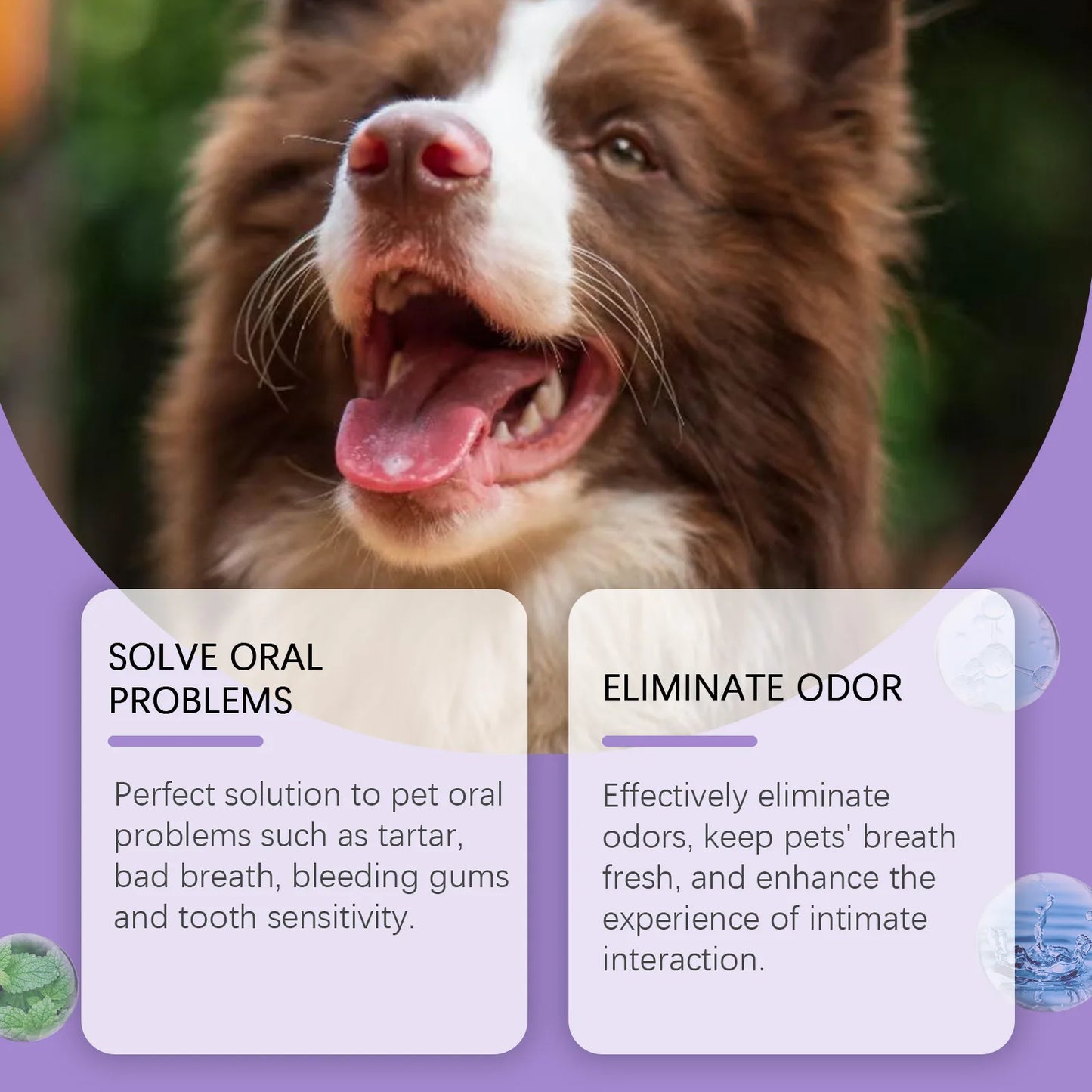 50ml Pet Oral Care Spray Dogs Cats Teeth Cleaning Fresh Breath Daily Dental Care Pet Supplies