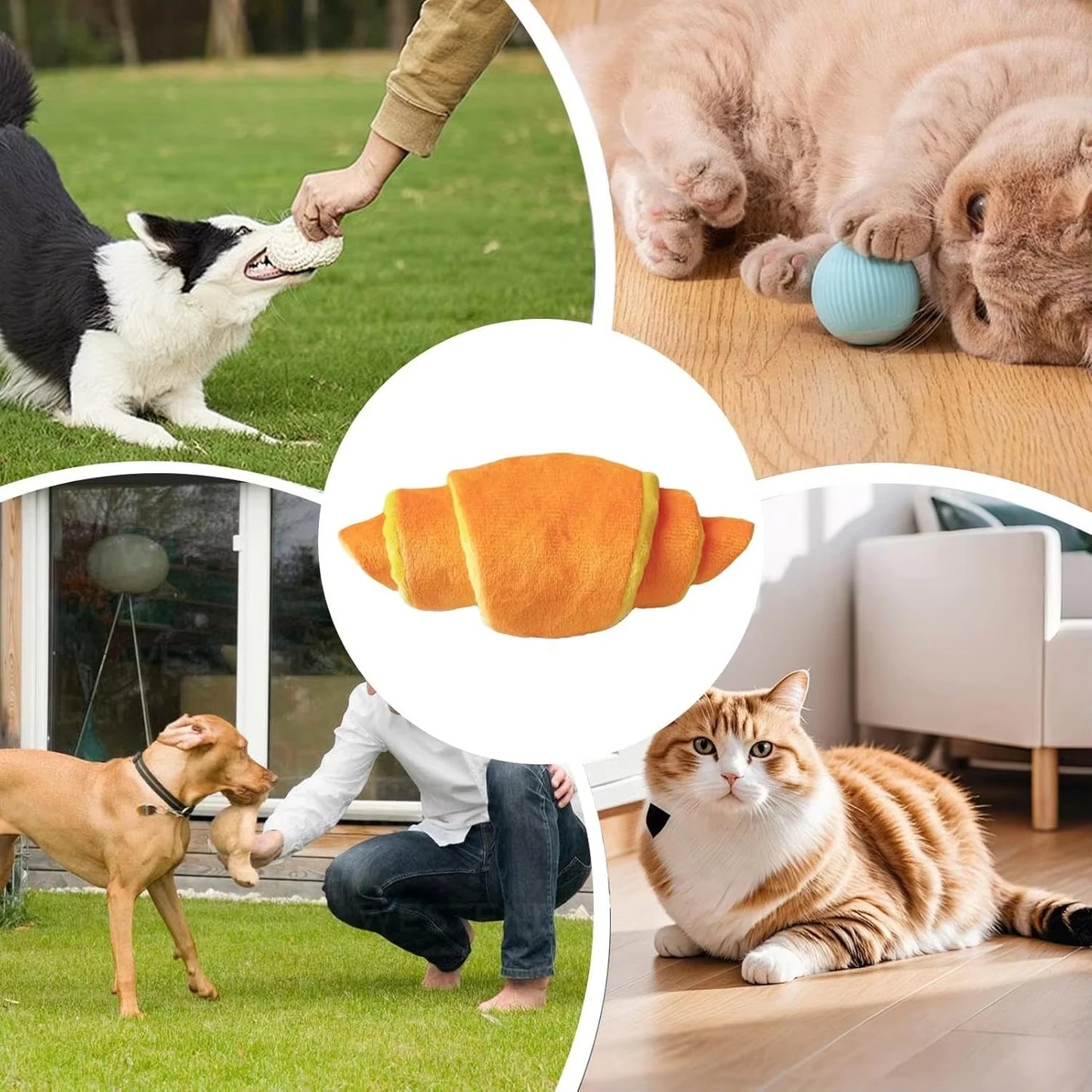 Dog Chew Toys - Interactive Puppy Lightweight Pet Toy Indoor and Outdoor Fun for Small Medium Dogs Sniffing Toys