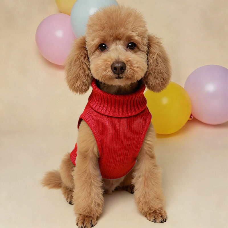 New Pet Small Pet Dog Clothes Sweater Fashion Autumn Winter Solid Fried Dough Twists Knitting Warm Comfort Clothing