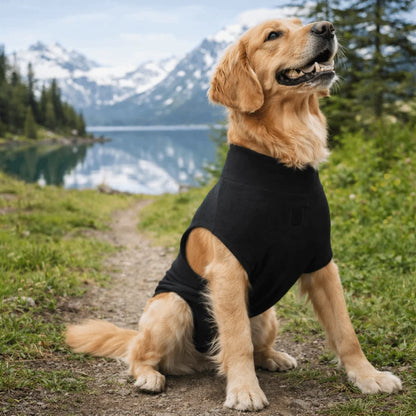 Adjustable Pet Physiological Clothing Soft Stretchy Dog Recovery Suit Sweat Absorption Reusable Dog Sanitary Jumpsuits