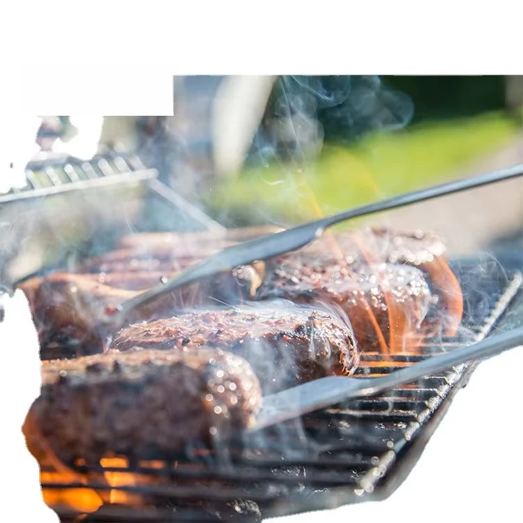 Portable Outdoor Commercial BBQ Grill Stove Steel Metal Gas BBQ Grill Side Burner Toaster Ovens Folding Design Electronic