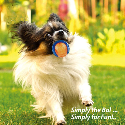 Pet Dog Squeaky Toys Ball Puppy Chew Toys Sound Pure Natural Non-toxic Rubber Outdoor Play Small Big Dog Funny Elasticity Ball