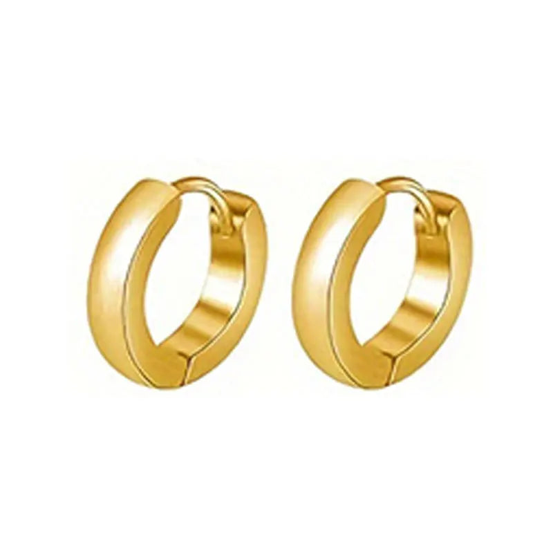 21 pairs of men's stainless steel earrings, circular CZ earrings, hypoallergenic earrings, unisex perforated earrings
