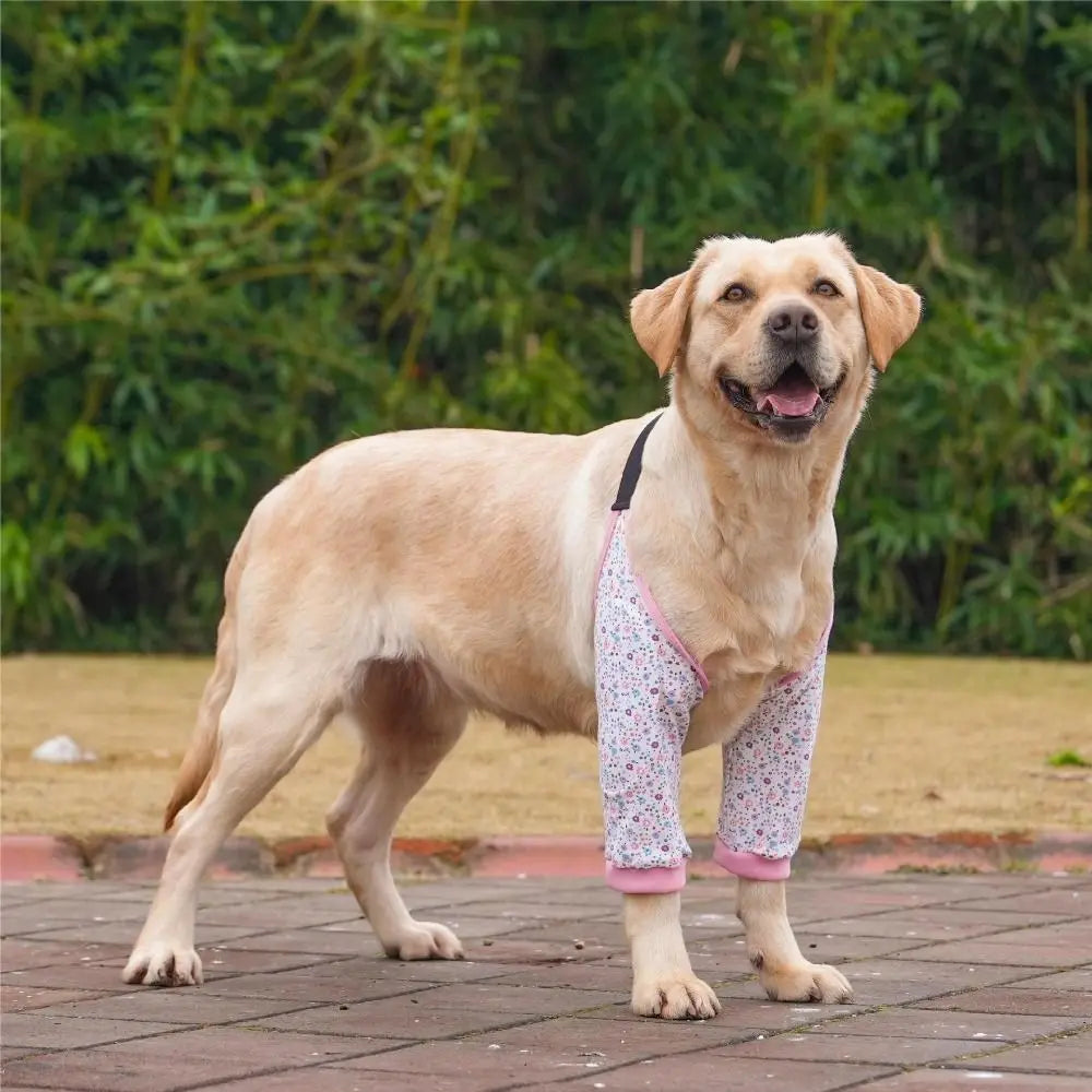 Cartoon Pattern Dog Elbow Sleeves Cotton Soft Dog Elbow Protector Shoulder Support Brace Pet Knee Pads For Puppy Dogs