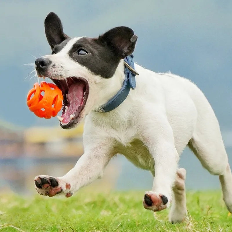 Pet Toys - Bite-resistant Chewing Balls - Hollow Elastic Balls - Training Balls -Entertainment and Relaxation Toys -Pet Supplies