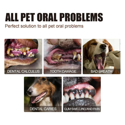 30ml Pet Tooth Cleaning Spray Dogs Remove Bad Breath Freshener Cats Oral Cleaning Dental Care Deodorization Spray Pet Supplies
