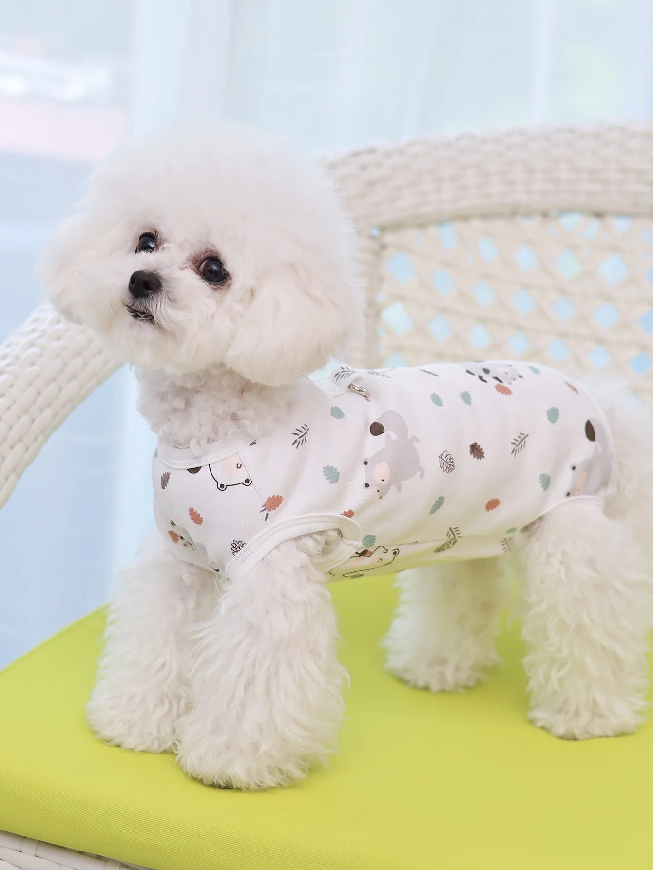 Spring & summer pet clothes four legged pants cat & dog clothes breathable and anti shedding air conditioning home clothes