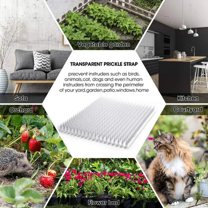 Pet Supplies Prevent Cats Dogs From Digging Holes Climbing Mats Spikes Repeller Plastic Repellent Plastic Bird PVC Transparent