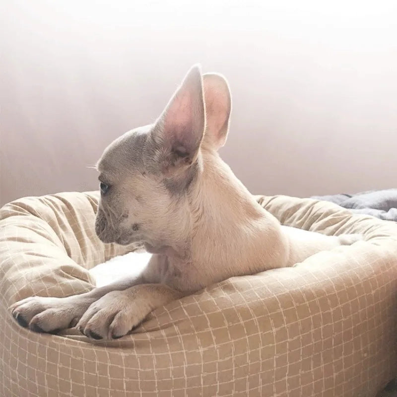 All Season Pet Bed Dog Cat Bed Summer Cat Mat Dog Mat Cotton Pet House for Dogs Cats Essential
