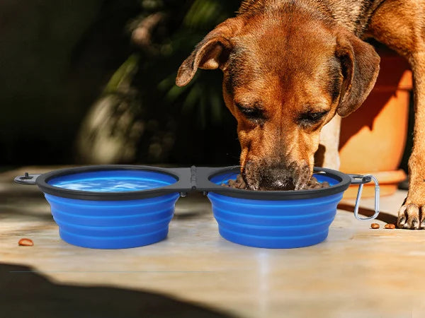 Portable Foldable 2-in-1 Dual Bowl for Dogs & Cats – Travel Food & Water Bowl, Outdoor Pet Must-Have