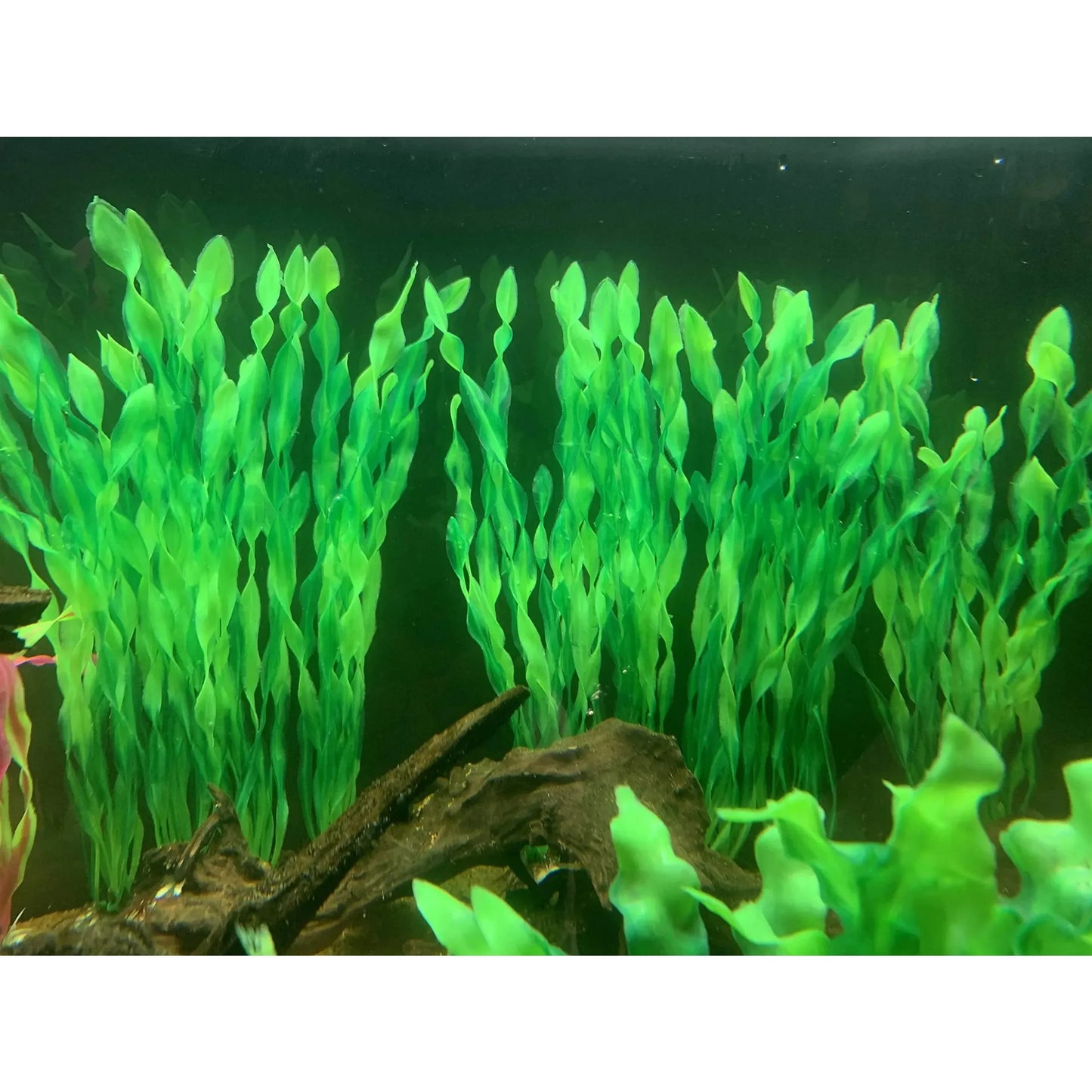 Plastic Aquarium Plants Fish Tank Decorations Artificial Seaweed Water Grass Underwater Plants for Aquarium Ornament