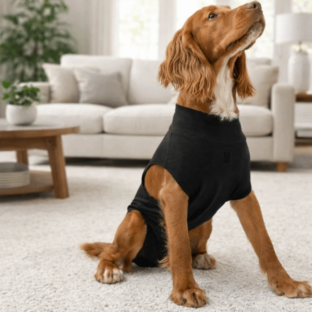 Adjustable Pet Physiological Clothing Stretchy Soft Dog Sanitary Jumpsuits Reusable Sweat Absorption Dog Recovery Suit