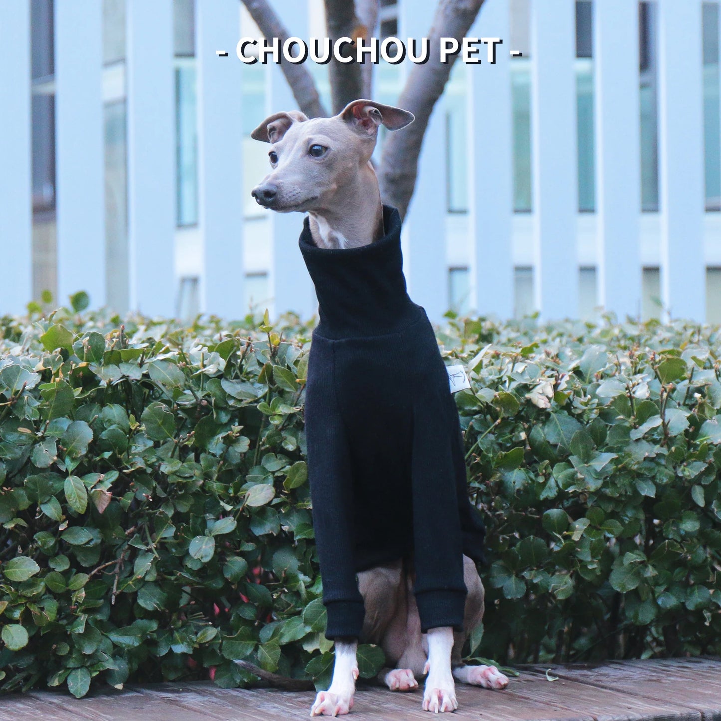 Italian Greyhound/Whippet Slim Fit Dog Clothing Turtleneck Stretch Pet Bottoming Shirt Black Premium Pet Clothing