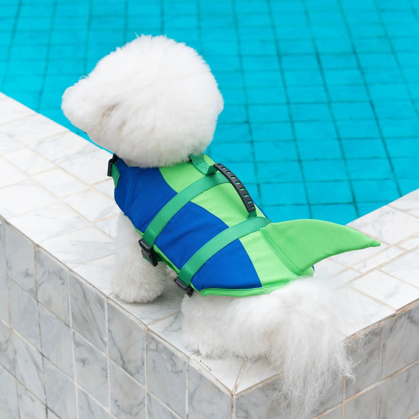 Dog Swimsuit Waterproof Puppy Life Jacket Breathable Summer Dog Clothes Harness Swimming Safety Vest for Dog Pet Supplies