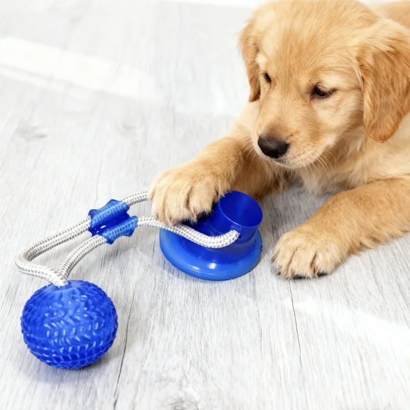 Dog Toys Pet Puppy Interactive Suction Cup Push TPR Ball Toys Molar Bite Toy Elastic Ropes Dog Tooth Cleaning Chewing Supplies