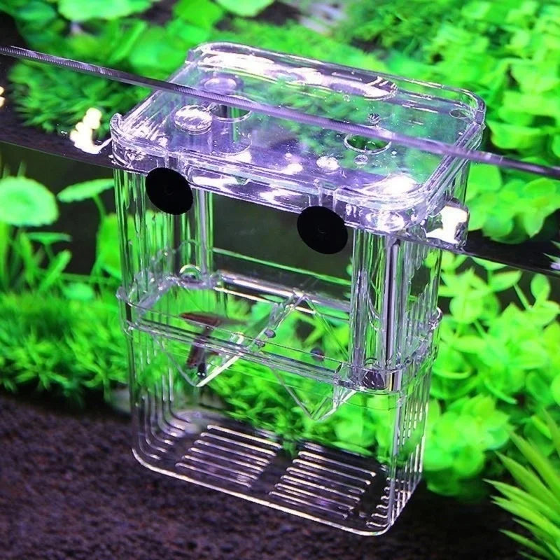 Multifu Fish Aquarium High Clear Breeding Isolation Box Pet Supplies Breeder Tank Double Guppies Hatching Incubator Pet Products