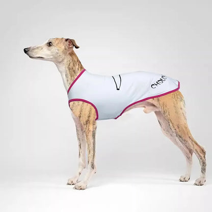 Breathable Cotton Pet Clothes for Big Dogs, Thin Vest, Cool Cat, Puppy Clothing, Leisure T Shirt, Bichon, Teddy, Summer