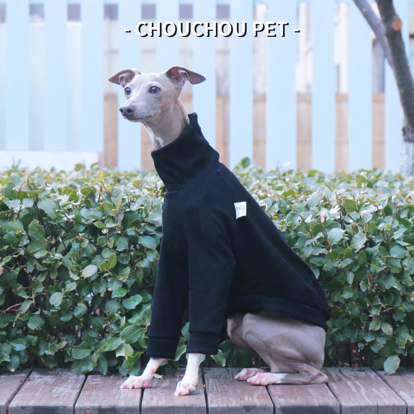 Italian Greyhound/Whippet Slim Fit Dog Clothing Turtleneck Stretch Pet Bottoming Shirt Black Premium Pet Clothing